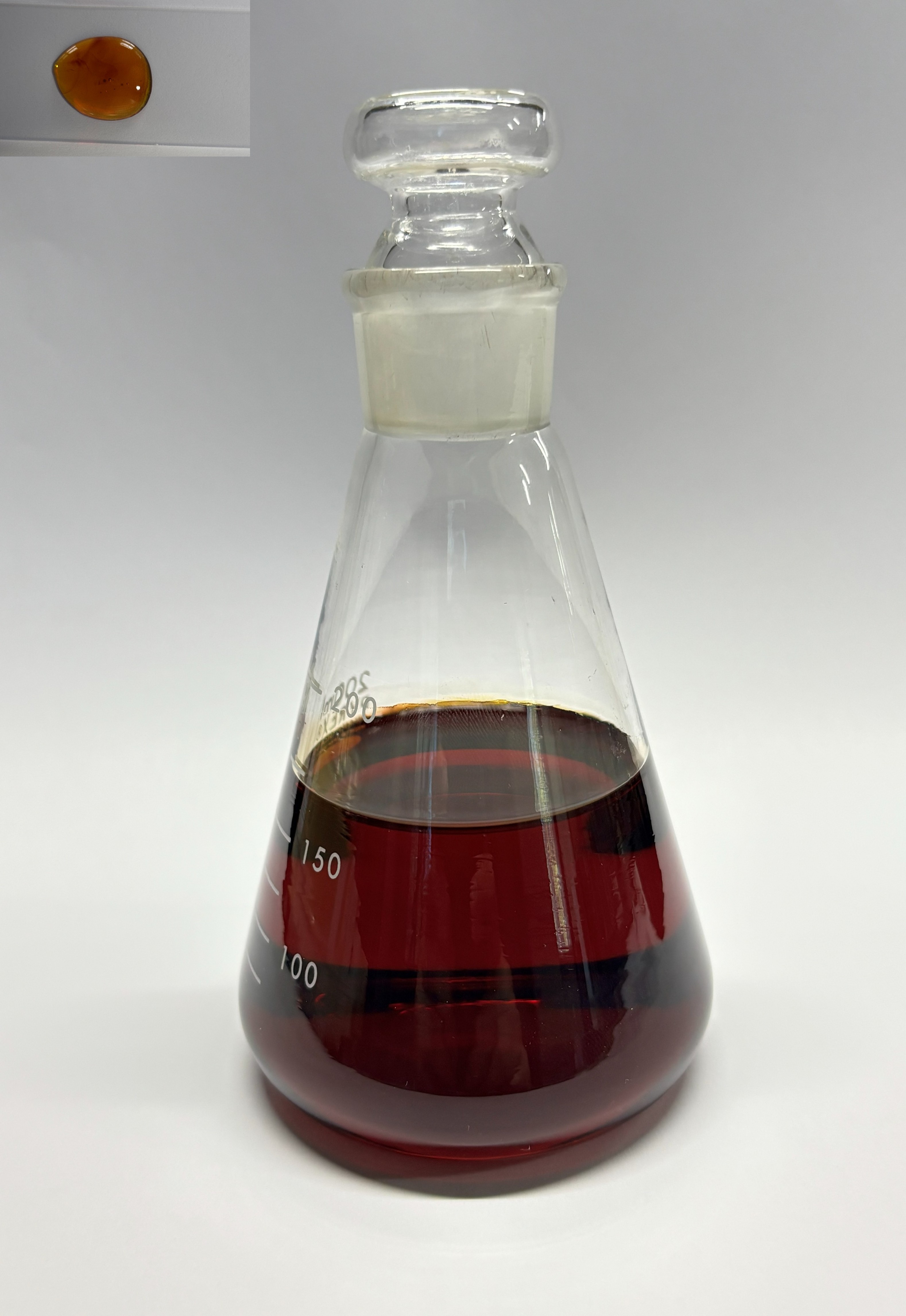 Main Product
